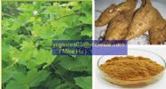 Pueraria Extract